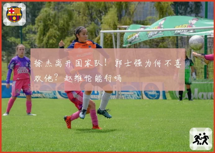 徐杰离开国家队！郭士强为何不喜欢他？赵维伦能行吗